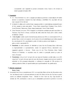 Brief pentru agenție - Ursus - Pagina 3