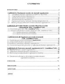 Organizarea procesuală și stucturală a IM Sandriliona SRL - Pagina 1