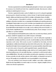 Organizarea procesuală și stucturală a IM Sandriliona SRL - Pagina 2