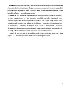 Organizarea procesuală și stucturală a IM Sandriliona SRL - Pagina 4