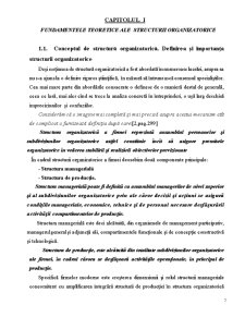 Organizarea procesuală și stucturală a IM Sandriliona SRL - Pagina 5