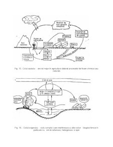 Fluxul de energie - informație și de substanțe în ecosisteme - Pagina 5