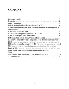 Rata șomajului conjunctural în România - Pagina 2