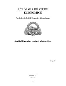 Auditul Financiar-Contabil al Datoriilor - Pagina 1