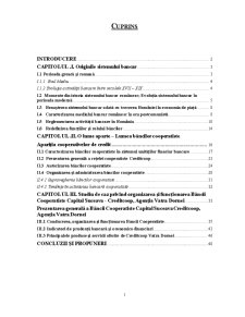 Organizarea și funcționarea instituțiilor de credit de tip cooperatist. studiu de caz - Banca Cooperatistă Capital Suceava - Creditcoop - agenția Vatra Dornei - Pagina 5