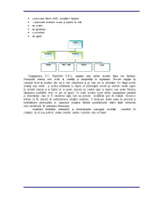 Plan de Afaceri SC ErgoStyle SRL - Pagina 4