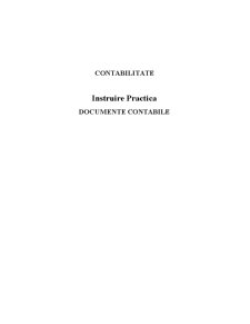 Instruire practică - documente contabile - Pagina 1