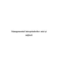 Managementul Întreprinderilor Mici și Mijlocii - Pagina 1