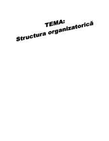 Structura Organizatorică - Pagina 1