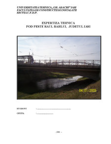 Expertiza tehnică a podului peste Râul Bahlui Județul Iași - Pagina 1