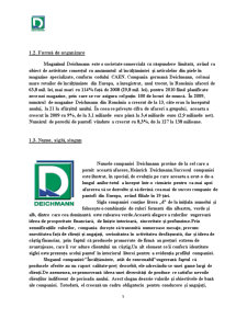 Proiect Magazin Specializat - Magazinul Deichmann - Pagina 5