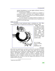 Ecologie Generală - Pagina 80