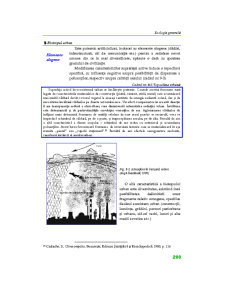 Ecologie Generală - Pagina 121