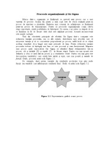 Ghid - Six Sigma pentru managementul calității - Pagina 2