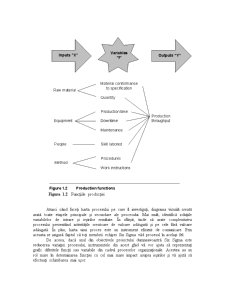Ghid - Six Sigma pentru managementul calității - Pagina 3