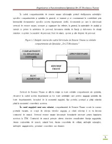 Organizarea și funcționalitatea spitalului Dr. I.T. Nicolăescu Tutova - Pagina 5