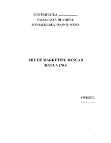 Mix de marketing bancar - Banca ING - Pagina 1