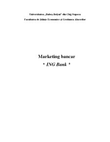 Prețul - element al mixului de marketing bancar - ING Bank - Pagina 1