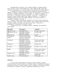Micotoxine - Aflatoxine - Pagina 2