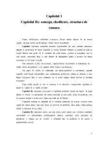 Capitalul - Factor de Producție - Pagina 3