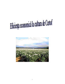 Eficiența Economică la Cultura de Cartof - Pagina 1