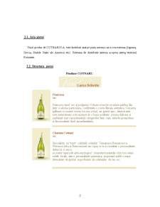 Caracterizarea pieței, prezent și perspectivă a vinurilor Cotnari - Pagina 5