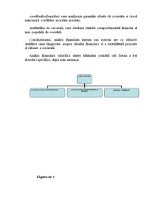 Analiza activității economico-financiare pe baza bilanțului contabil - Pagina 3