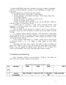Reproiectarea managerială a SC Arpechim SA - Pagina 3