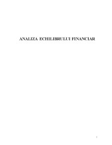 Analiza Echilibrului Financiar - Pagina 1