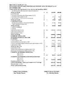 Organizarea contabilității de gestiune a costurilor globale la SC Mecanica Ceahlău SA - Pagina 3