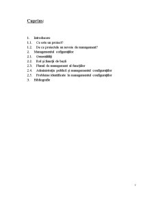 Managementul Configurațiilor în Proiectele TIC - Pagina 2