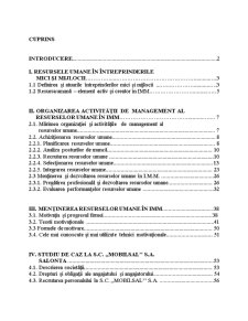 Particularități ale managementului resurselor umane în IMM - Pagina 3