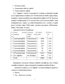 Proiect de practică contabilitate - Pagina 3