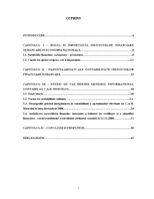 Politici și opțiuni contabile privind sistemul informațional contabil în cadrul unei instituții financiare nebancare. studiu de caz - CAR Mușcelul - Pagina 3