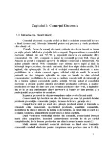 Comerțul electronic - studiu de caz - Pagina 3