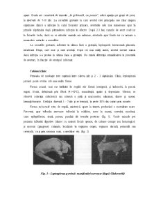 Leptospiroză suină - Pagina 3