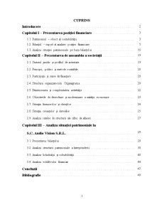 Analiza situației patrimoniale prin prisma lichidității, solvabilității și echilibrului financiar - Pagina 2