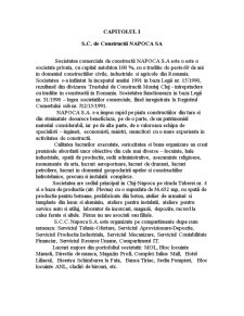 Analiza diagnostic SC Construcții Napoca SA - Pagina 1