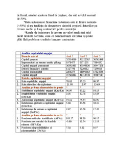 Analiza diagnostic SC Construcții Napoca SA - Pagina 5