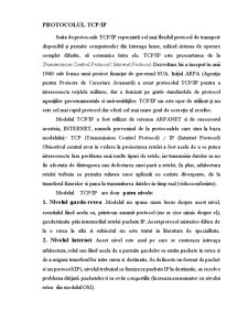 Protocolul TCP IP și Modelul OSI - Pagina 1