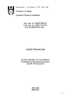 Audit Financiar - Pagina 1