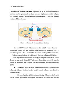 Protocolul OSPF și BGP - Pagina 2