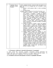 Analiza Sistemului Informațional - Pagina 4