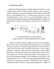 Optoelectronică - tehnologia WDM - Pagina 4