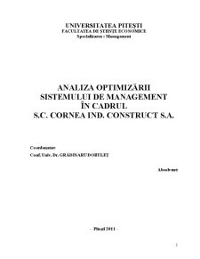 Analiza optimizării sistemului de management în cadrul SC Cornea Ind Construct SA - Pagina 2