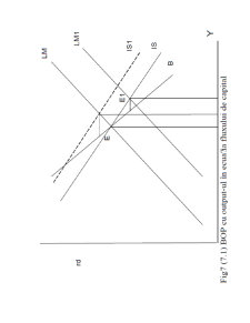 Macroeconomie deschisă - Pagina 210
