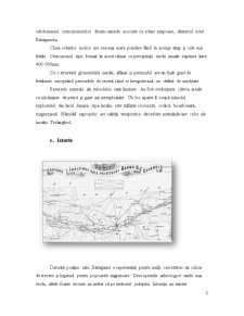 Analiza Turismului Rural din Stațiunea Balneară Amara - Pagina 5