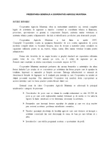 Cooperativa agricolă Muntenia - modelul problemei de transport - Pagina 2