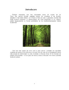 Defrișarea pădurilor - Pagina 3