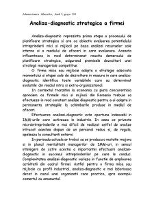 Analiza-diagnostic strategică a firmei - Pagina 1